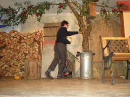 Theater 2009 - Alles bestens geregelt
